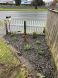 Full Garden Bed Makeover